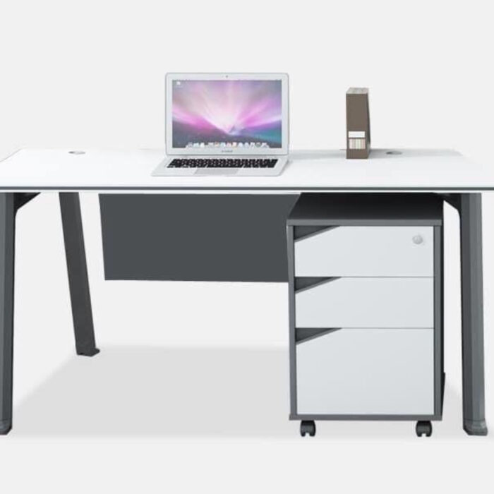 1.2m Steel-Wood Office Desk