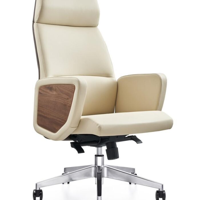 EFVWOE Ergonomic Mesh Office Chair – Multi-Functional | Lumbar Support | No Assembly Required