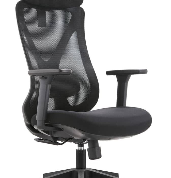 ELABEST Big & Tall Ergonomic Office Chair